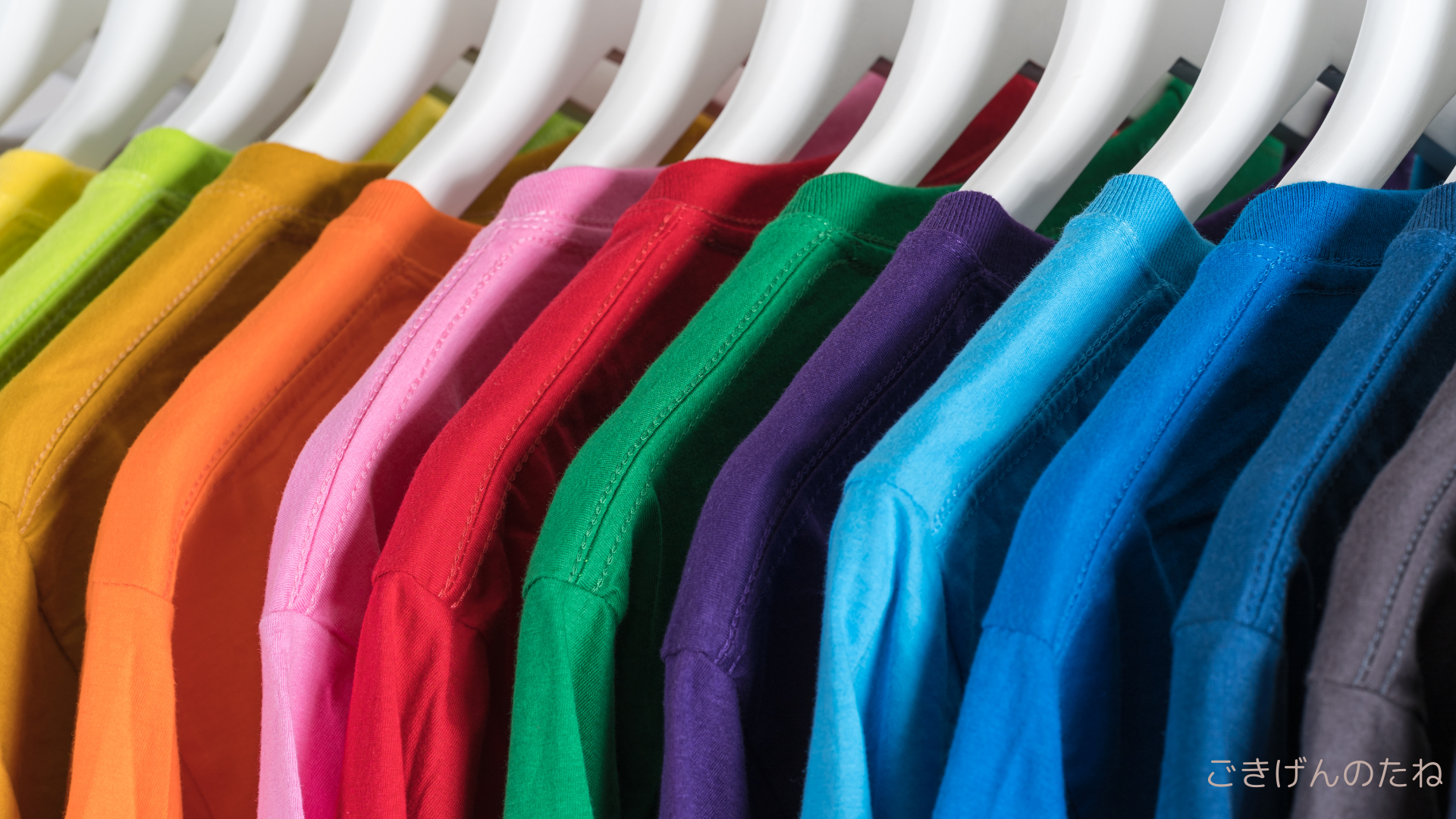 50代、プロの診断で“似合う”がわかった日｜パーソナルカラー・骨格・顔タイプ診断レポ