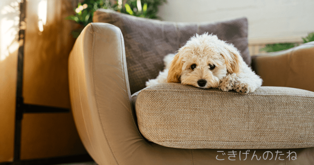 簿記３級の勉強を挫折した話